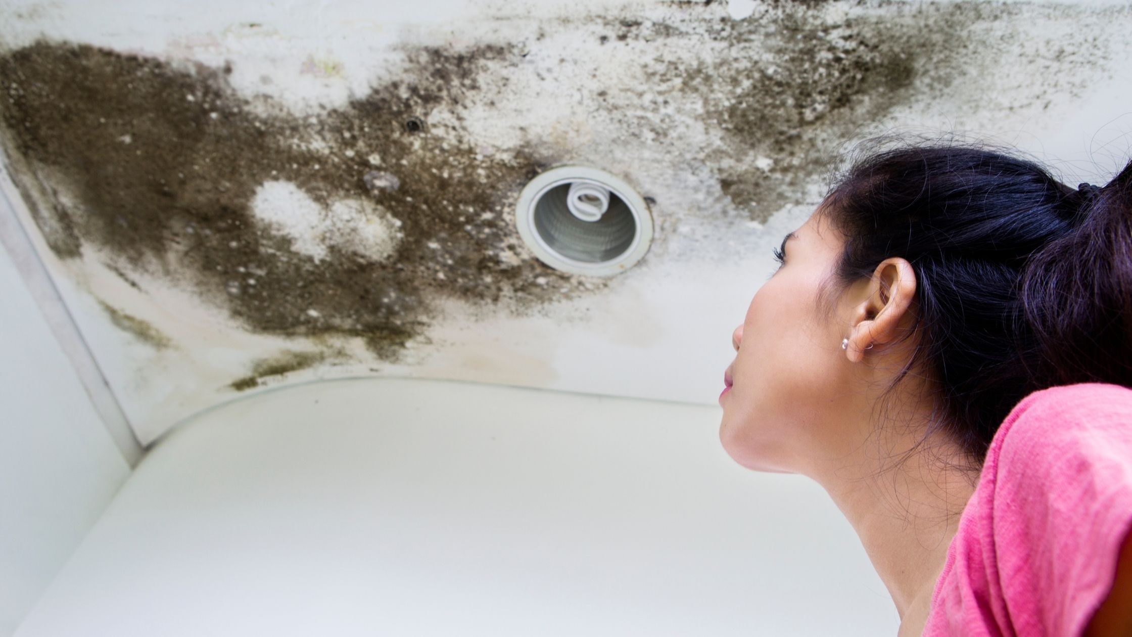 Roof Repair in Allen Park